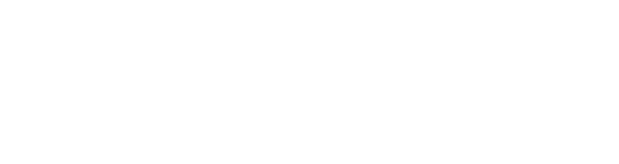 Gecko Travels